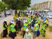 جماعت اسلامی کا کراچی میں 5 لاکھ درخت لگانے کا اعلان
