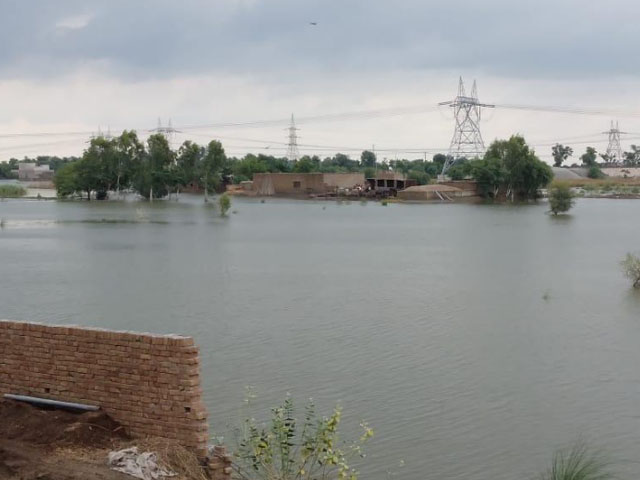 دریائے ستلج میں بھارت کی آبی جارحیت، قصور و لڈن میں سیلابی ریلا تباہی لے آیا