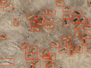 نایاب نسل کے جانوروں کا تھرمل ڈرون ٹیکنالوجی کی مدد سے پتہ لگانے کا آغاز