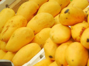 5 ارب کے پاکستانی آم کھانے والا ملک کونسا؟ فہرست جاری