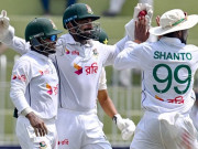 ’’کاغذی ‘‘شیر کچا چبا گئے