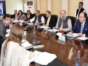 اقتصادی رابطہ کمیٹی نے ہوم رمیٹنسز پر نظر ثانی کی منظوری دے دی