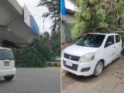 کراچی میں ہواؤں کی رفتار 60 کلومیٹر فی گھنٹہ تک پہنچ گئی متعدد درخت گرگئے