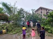 کراچی میں تیز ہواؤں کے باعث درخت گرگیا خاتون جاں بحق