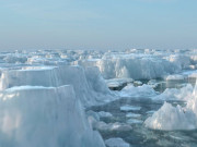 گلیشیئر میں 1700 سے زائد قدیم وائرس دریافت