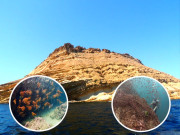 چرنا آئی لینڈ پاکستان کا دوسرا محفوظ ترین سمندری علاقہ قرار