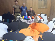 پتنگ سازوں کے خلاف کارروائیاں جاری آن لائن آرڈر پر پتنگیں بیچنے والا ملزم گرفتار