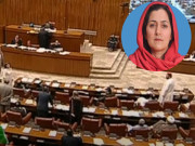 فلک ناز چترالی کی فیصل واوڈا کے خلاف نازیبا زبان سینیٹ رکنیت دو روز کیلئے معطل