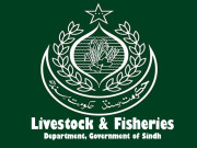 محکمہ لائیواسٹاک نے سندھ کے 32 ہزار خاندانوں کو مویشی پیکج فراہم کردیا سید نجمی عالم