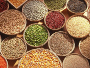 جولائی اگست میں غذائی اجناس کے استعمال میں کمی کا رجحان