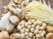 مشروم کے طبی خواص