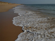 حدود سے تجاوز کرنے کا معاملہ ٹرٹل بیچ ہاکس بے پر واقع تفریحی ہٹس کو نوٹس جاری