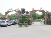 لاہور سفاری چڑیا گھر بند کرنے کا فیصلہ