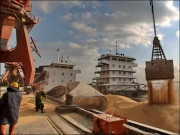 مویشیوں کی خوراک کی آڑ میں سویابین آئل اور سویابین آٹا درآمد کرنے کی کوشش ناکام