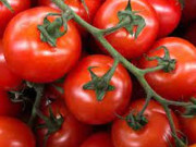 ٹماریلو یا ٹومیٹو ٹری