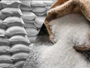 ممنوعہ اورمضر صحت اسمگل شدہ17ٹن چائنیز نمک پکڑا گیا