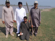 پنجاب میں مہمان پرندوں کا غیرقانونی شکارعروج پرپہنچ گیا31 شکاری گرفتار