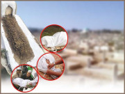 انسانی لاش کی حرمت اور اسلام کی روشن تعلیمات