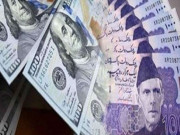 روپے کے مقابلے میں ڈالر کی اڑان جاری