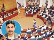 علی امین گنڈاپور نے وضاحت نہیں کی کہ وہ کے پی ہاؤس سے کیوں بھاگے رکن جے یو آئی