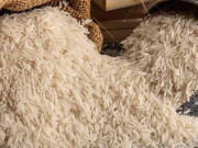 مارکیٹ سروے کے بغیر رائس ملز کے پلانٹس کی فروخت کا انکشاف