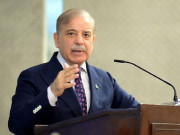 آئینی ترمیم اتحادی جماعتوں کی وزیراعظم کو حمایت کی یقین دہانی