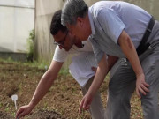 چین میں پاکستانی طالب علم کی گوبھی پر تحقیق جاری