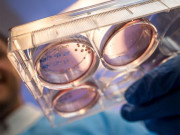 خلاء میں اعضا بنا کر زمین پر لانے کے منصوبے پر کام جاری