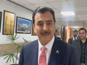 شیر جب بھی آتا ہے سب کچھ کھا جاتا ہے، چیئرمین سینیٹ