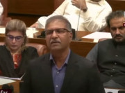 190 ملین کیس درست ہے تو جرم پر مقدمہ پوری کابینہ کیخلاف ہونا چاہیے، سینیٹر علی ظفر