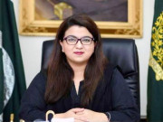 رواں مالی سال کی پہلی سہ ماہی میں آئی ٹی برآمدات 876 ملین ڈالرز تک پہنچ گئیں شزہ فاطمہ