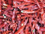 سرخ مرچیں وزن کم کرنے میں مفید 