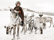 dukha ثقافت جس کا دارومدار رینڈیئر نامی جانور پر ہے