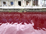 چین میں خون کا دریا بہنے لگا 