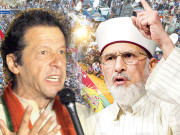 موجودہ صورتحال تحمل اور رواداری کی سیاست کی متقاضی
