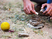 کھیل جو ماضی ہوگئے