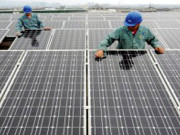 crowd farm توانائی کے حصول کا ایک اچھوتا منصوبہ