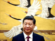 صدر کا دورہ پاکستان طے ہی نہیں ہوا منسوخی کی رپورٹس غلط ہیں چینی وزارت خارجہ