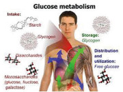 میٹابولزم کو قوت بخشنے والی عادتیں اپنائیں اور تھکاوٹ سے دور رہیں