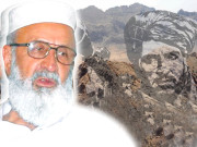 خودکش حملوں پر طالبان میں اختلافات موجود تھے پروفیسر اجمل خان 