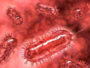 ’’ای۔ کولی‘‘ بیکٹیریا جس سے  پلاسٹک کی تیاری میں مدد لی جائے گی   