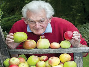 50 اقسام کے سیب دینے والا دنیا کا حیرت انگیز درخت 