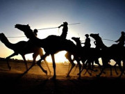 بات کچھ اِدھر اُدھر کی  ظالم صحرا کے شتربان