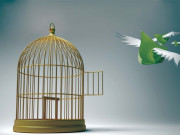 پاکستان ایک نظر میں  پاکستان میں سیاسی عدم استحکام کی وجوہات 