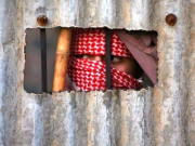 دنیا بھر سے  اقوام متحدہ کی موجودگی میں بھی امن ناپید