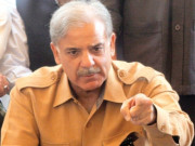 بےوقت دھرنوں سے پاکستان کی ترقی میں رکاوٹ ڈالنے والوں نے ملک سے دشمنی کی ہے شہباز شریف