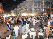 سڑکوں پر مویشی منڈیاں لگ گئیں بلدیہ کچرے کے ڈھیر صاف کرنے میں ناکام 
