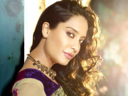 فلم ’’دی شوقینز‘‘ میں اکشے کمار کی مداح کا کردار ادا کر رہی ہوں لیزا ہیڈن 