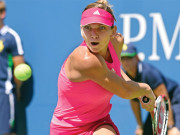 چائنا ٹینس سیمونا ہالیپ کوارٹر فائنل میں پہنچنے کے بعد دستبردار  