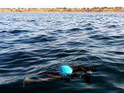 لیبیا میں غیر قانونی تارکین وطن کی کشتی ڈوبنے سے 130 افراد ہلاک